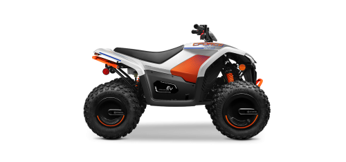 CFMOTO 2023 CFORCE EV110